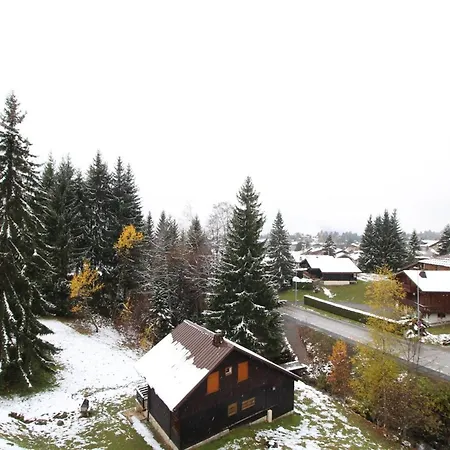 Appartement 4 Pers Avec Balcon, Près Des Remontées Mécaniques - Fr-1-572-149 Arâches